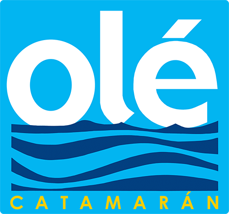 Catamarán Olé